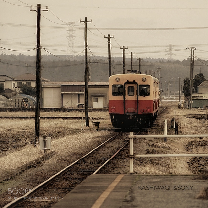 Sony a7 II sample photo. Train going by the photography