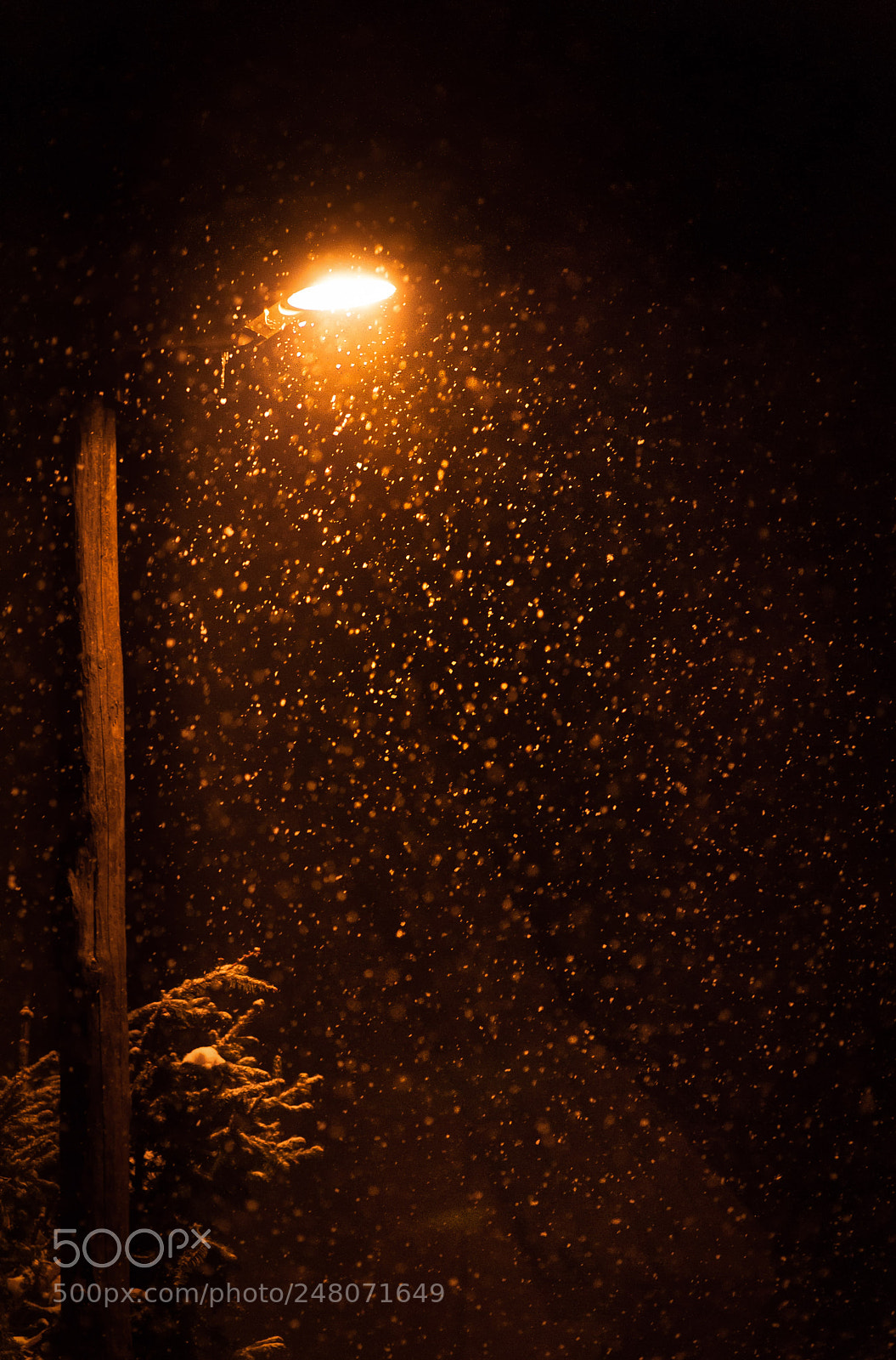Nikon D700 sample photo. Snowlighting photography