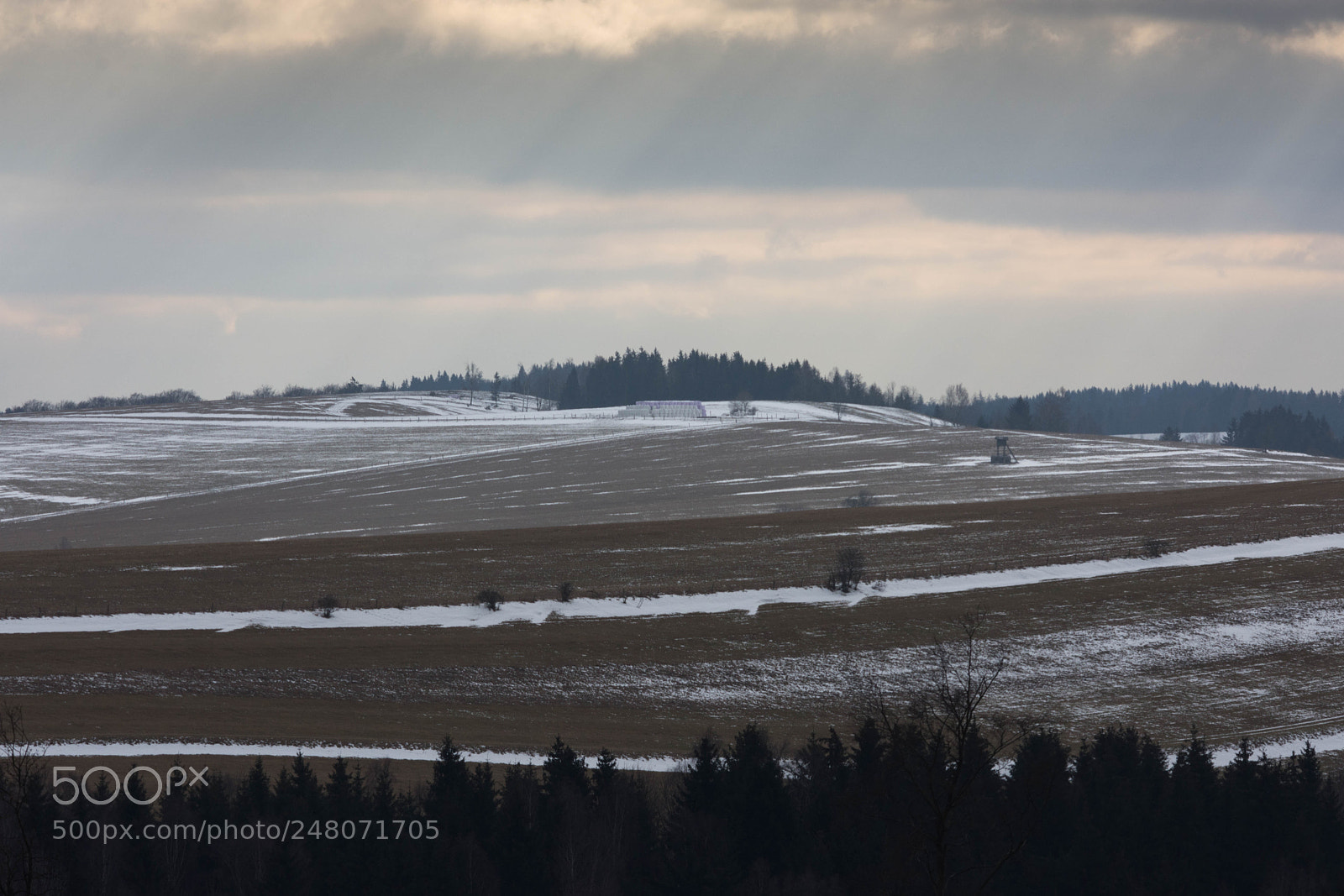 Nikon D7200 sample photo. Untitled photography
