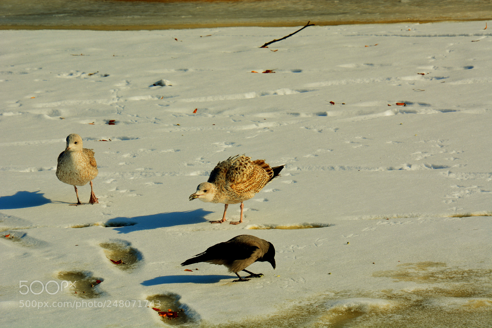 Nikon D5200 sample photo. Get lost!! photography