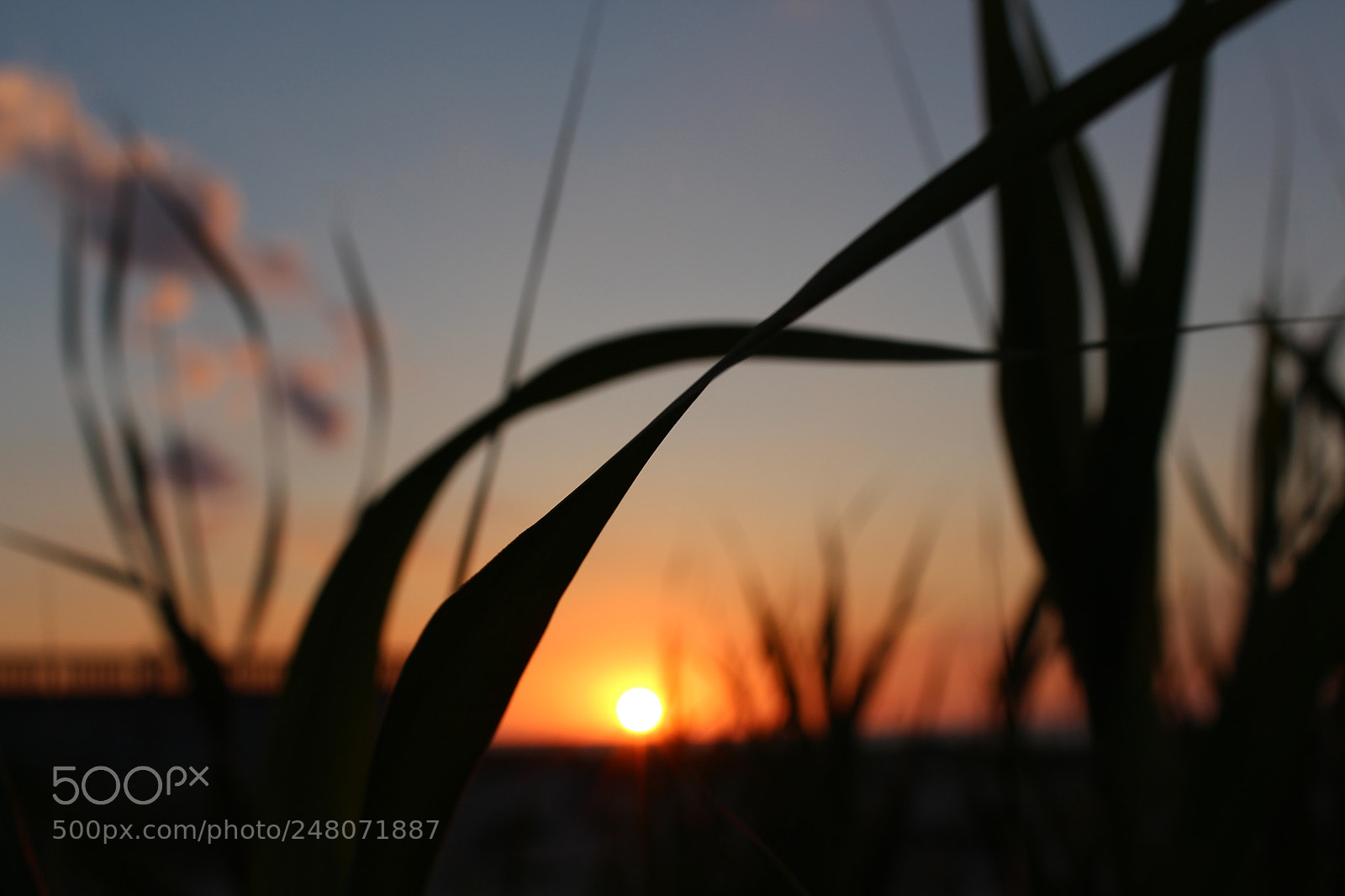 Canon EF-S 18-55mm F3.5-5.6 III sample photo. The sky photography