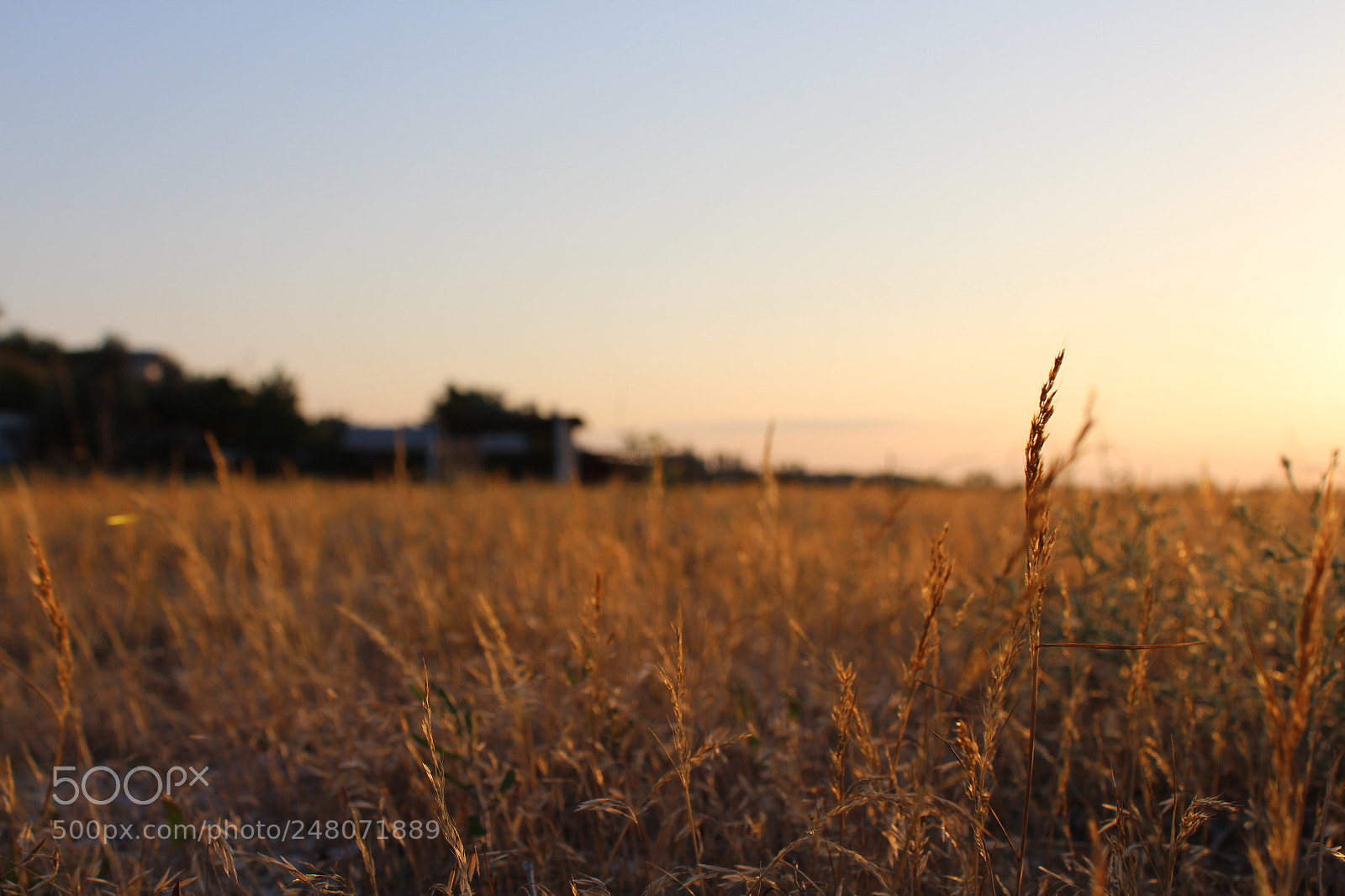 Canon EF-S 18-55mm F3.5-5.6 III sample photo. The sky photography