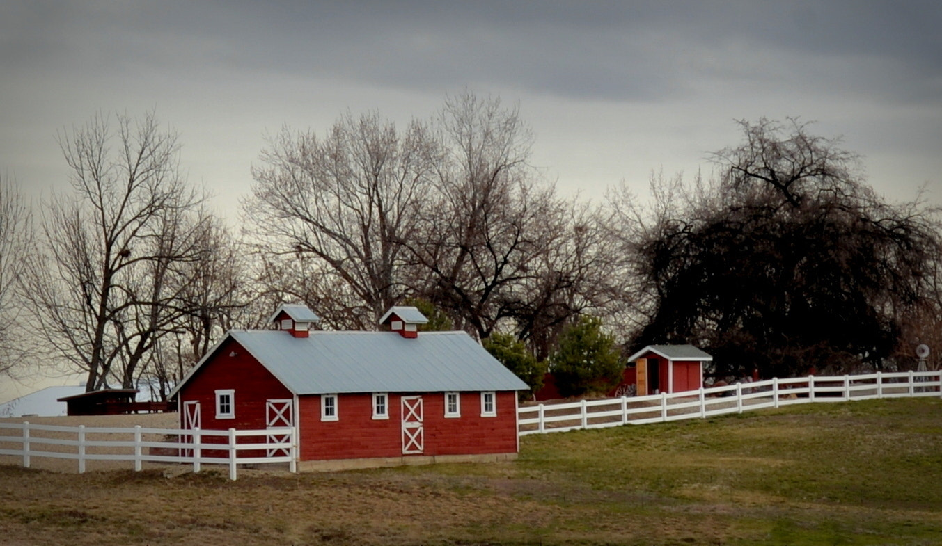 Nikon D610 sample photo. Down on the farm photography