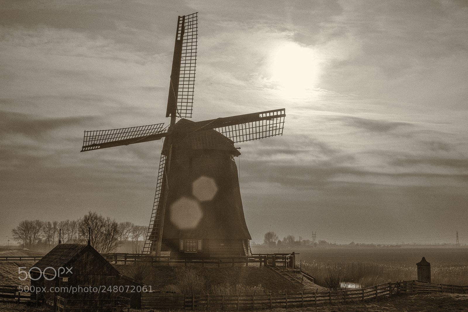 Nikon D610 sample photo. De schermer photography