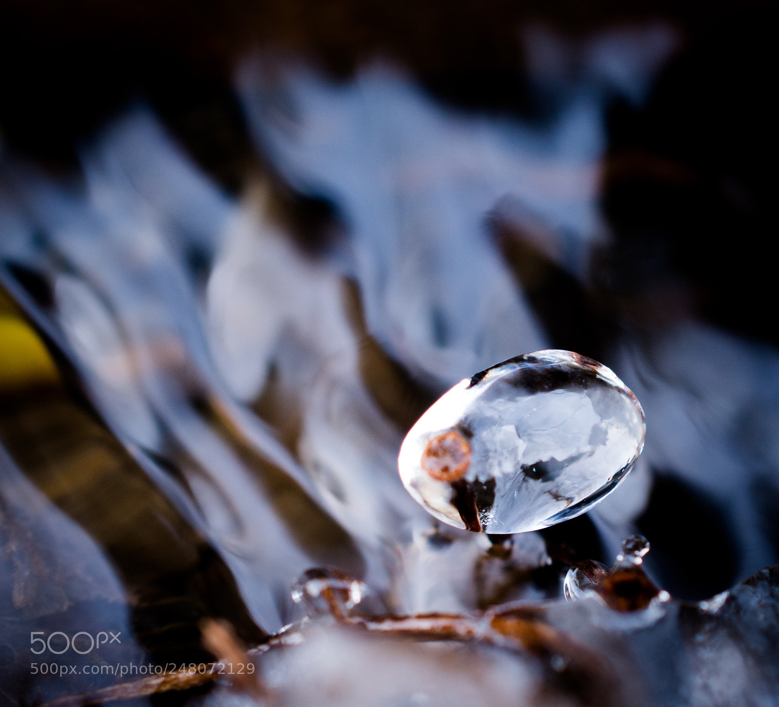 Nikon D5200 sample photo. Ice bubble photography