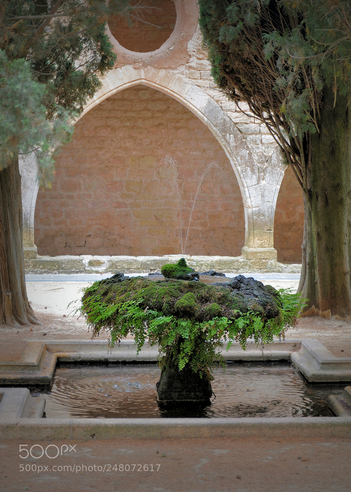 Nikon D90 sample photo. The ancient fountain photography