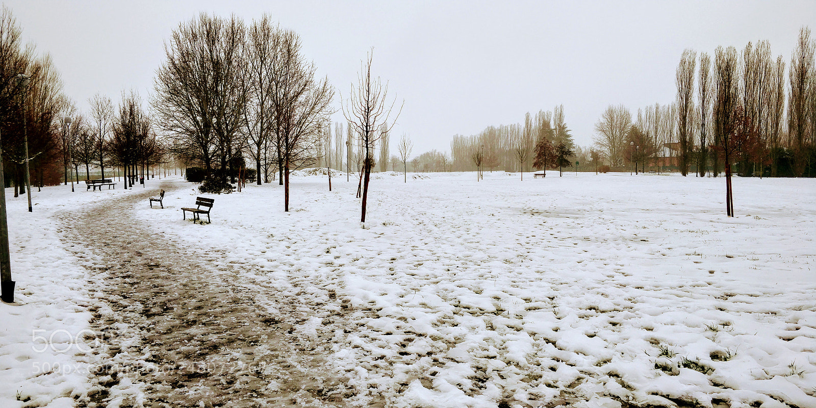 OnePlus 5T sample photo. Inverno photography