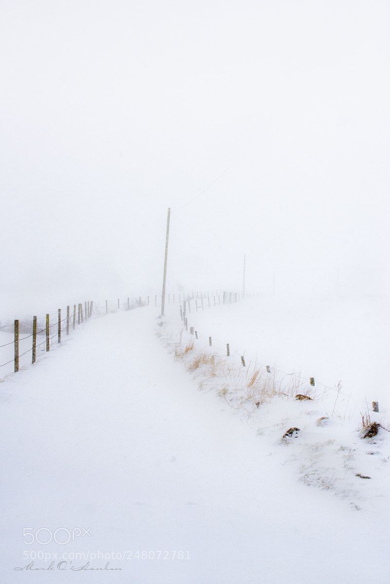 Nikon D800 sample photo. Vanishing point photography