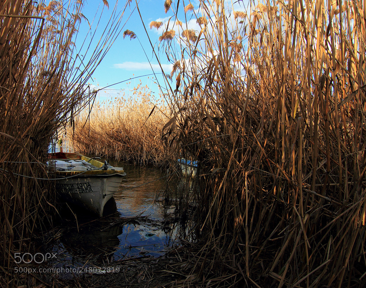 Canon EOS 7D sample photo. Volvi photography