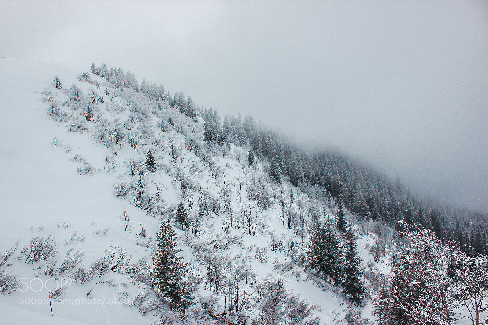 Canon EOS 550D (EOS Rebel T2i / EOS Kiss X4) sample photo. Winter in alps photography
