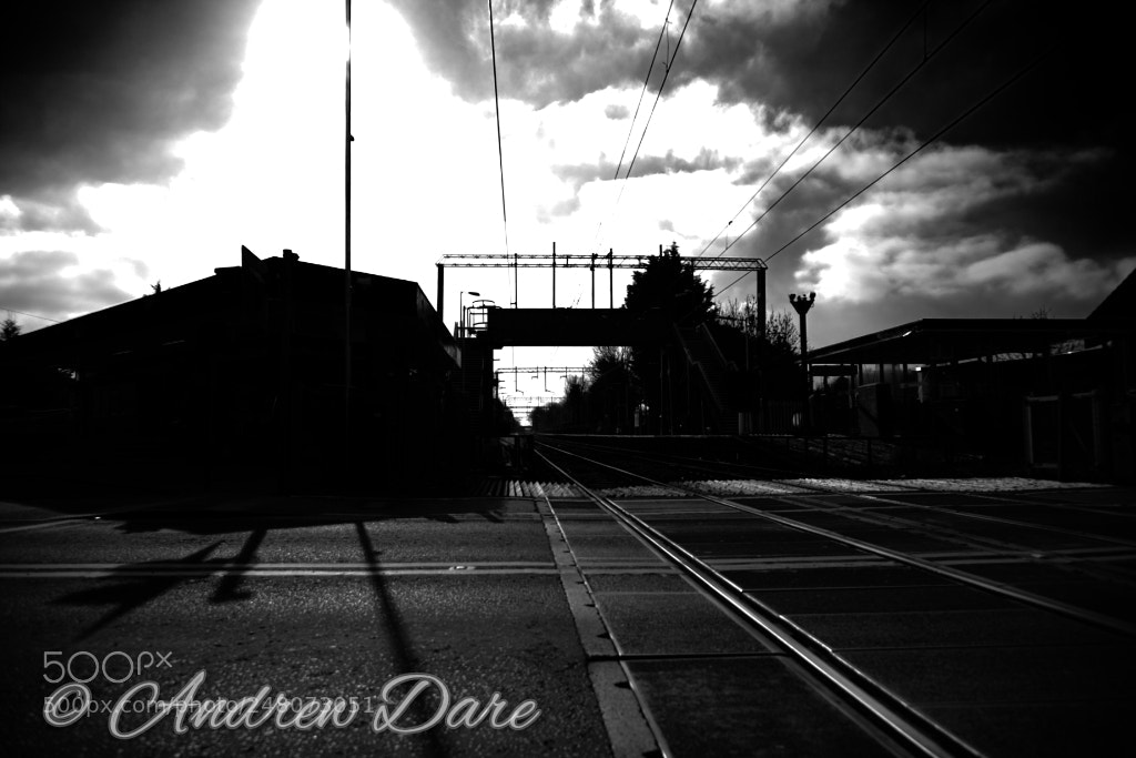 Nikon D810 sample photo. Last stop photography