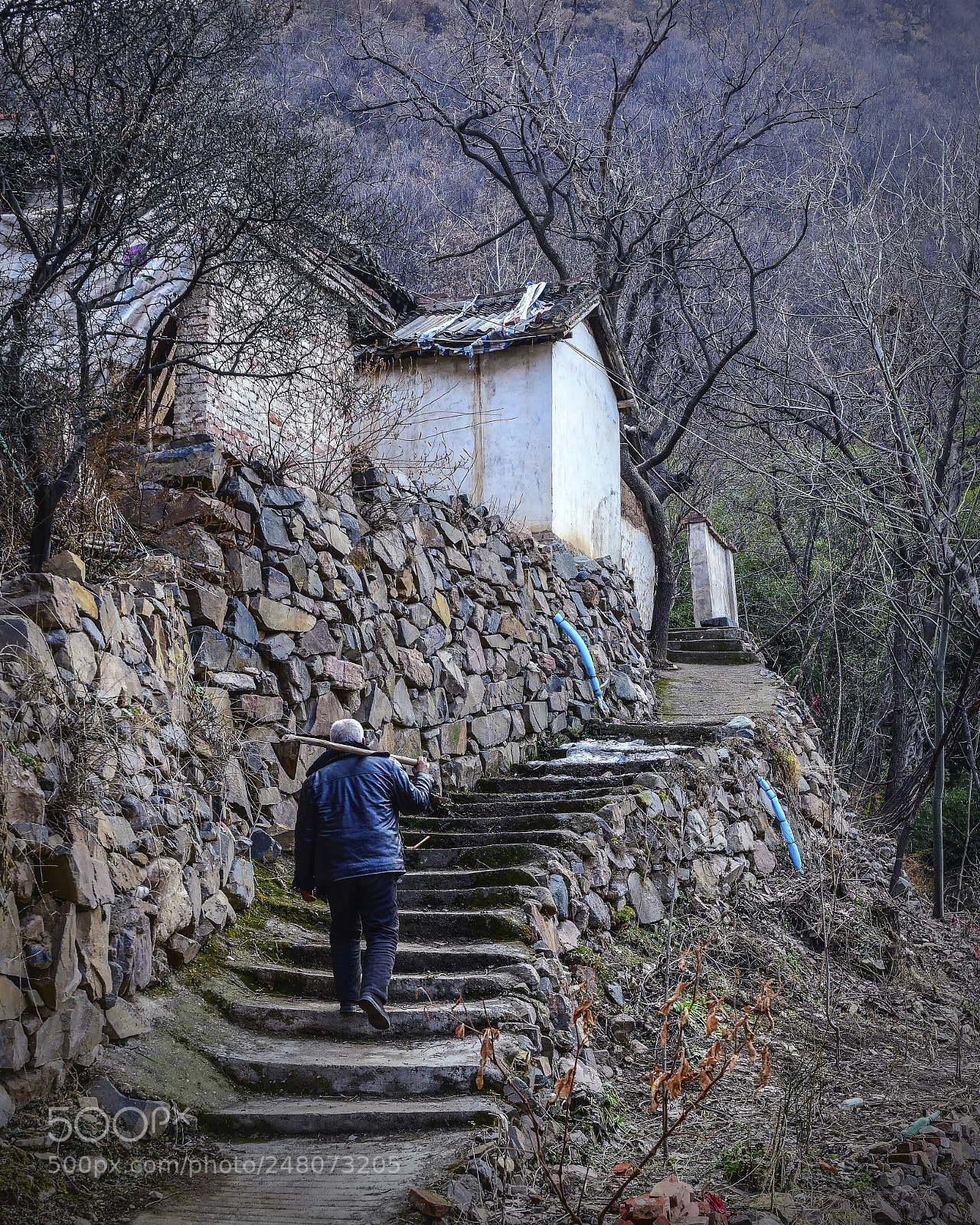 Nikon D810 sample photo. 荷锄暮归 photography