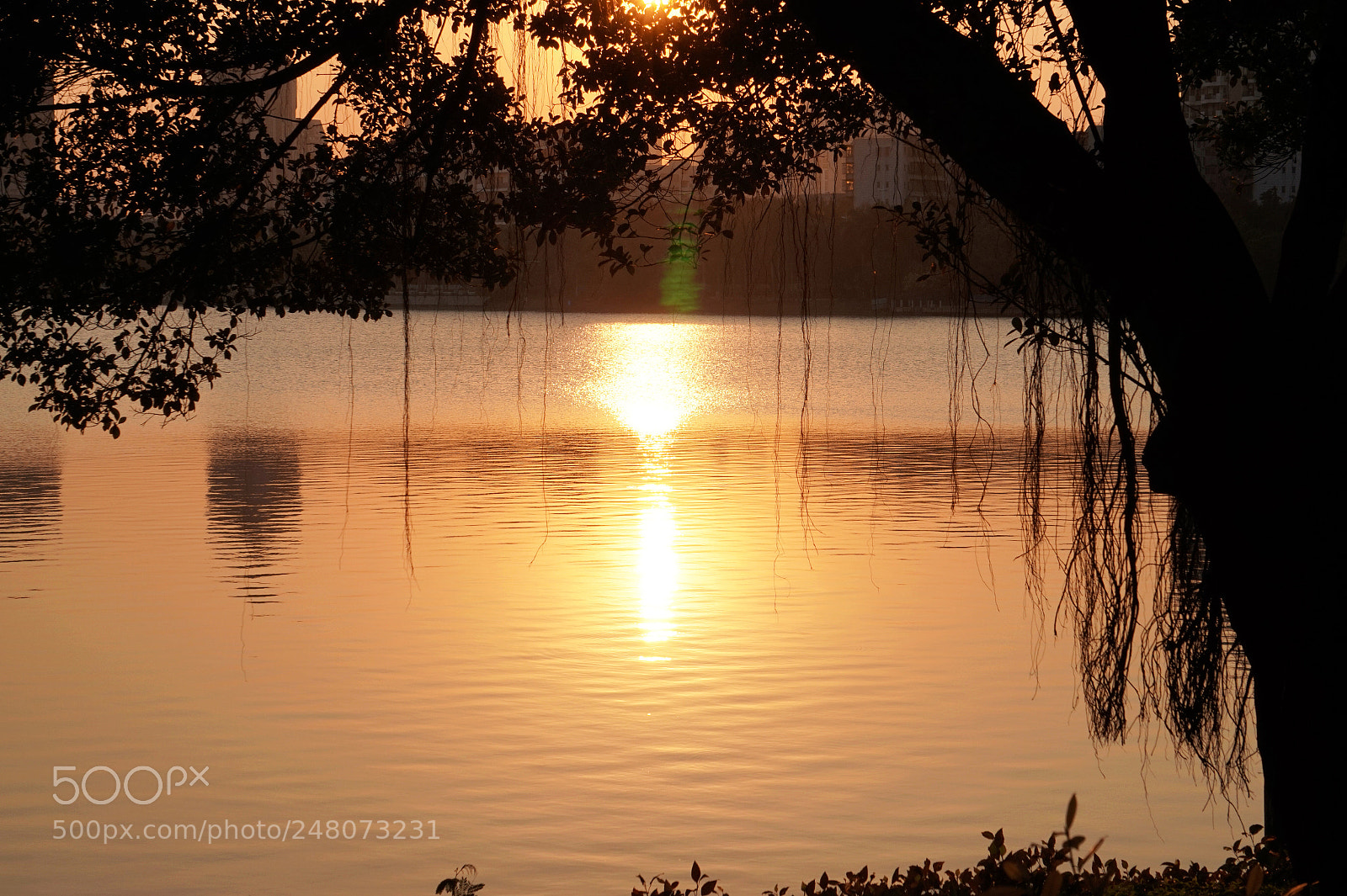 Sony Alpha a5000 (ILCE 5000) sample photo. Lakeside scenery under the photography