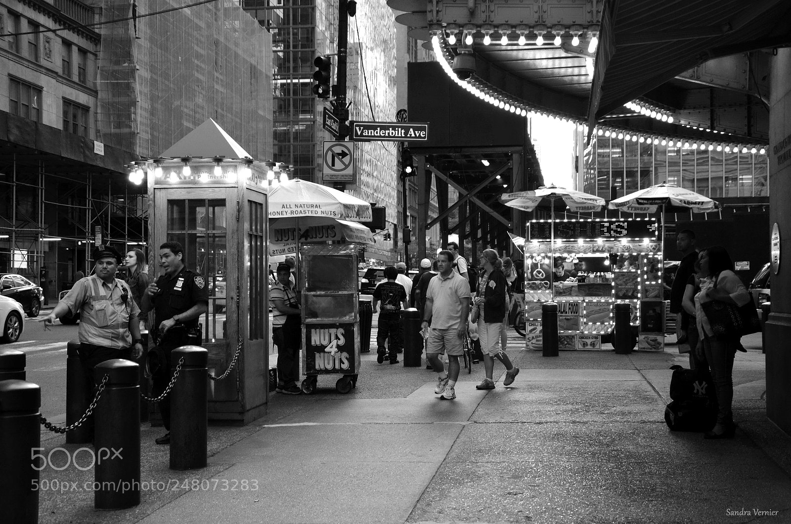 Nikon D5100 sample photo. Vanderbilt avenue photography