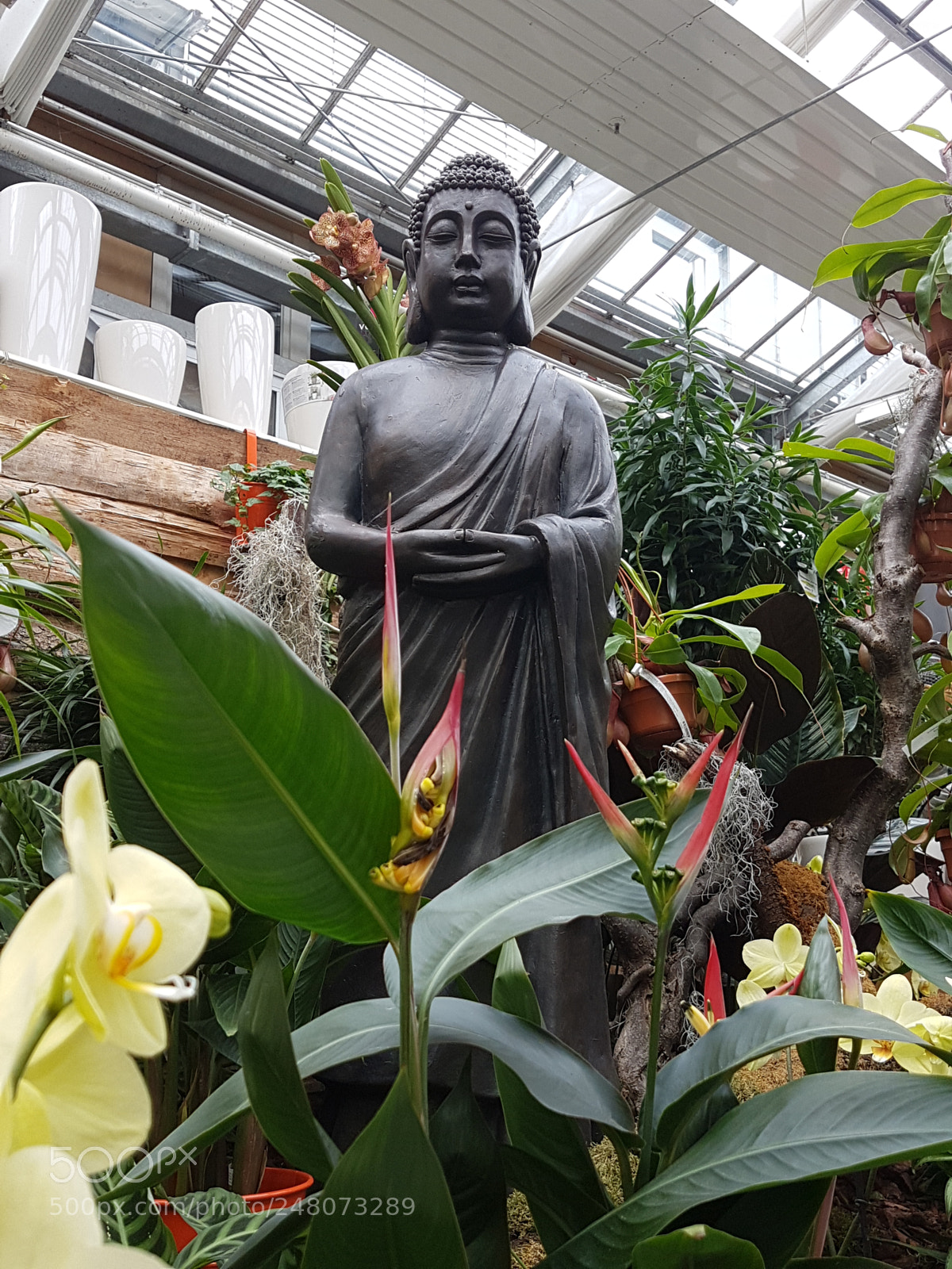 Samsung Galaxy S7 sample photo. Buddha photography