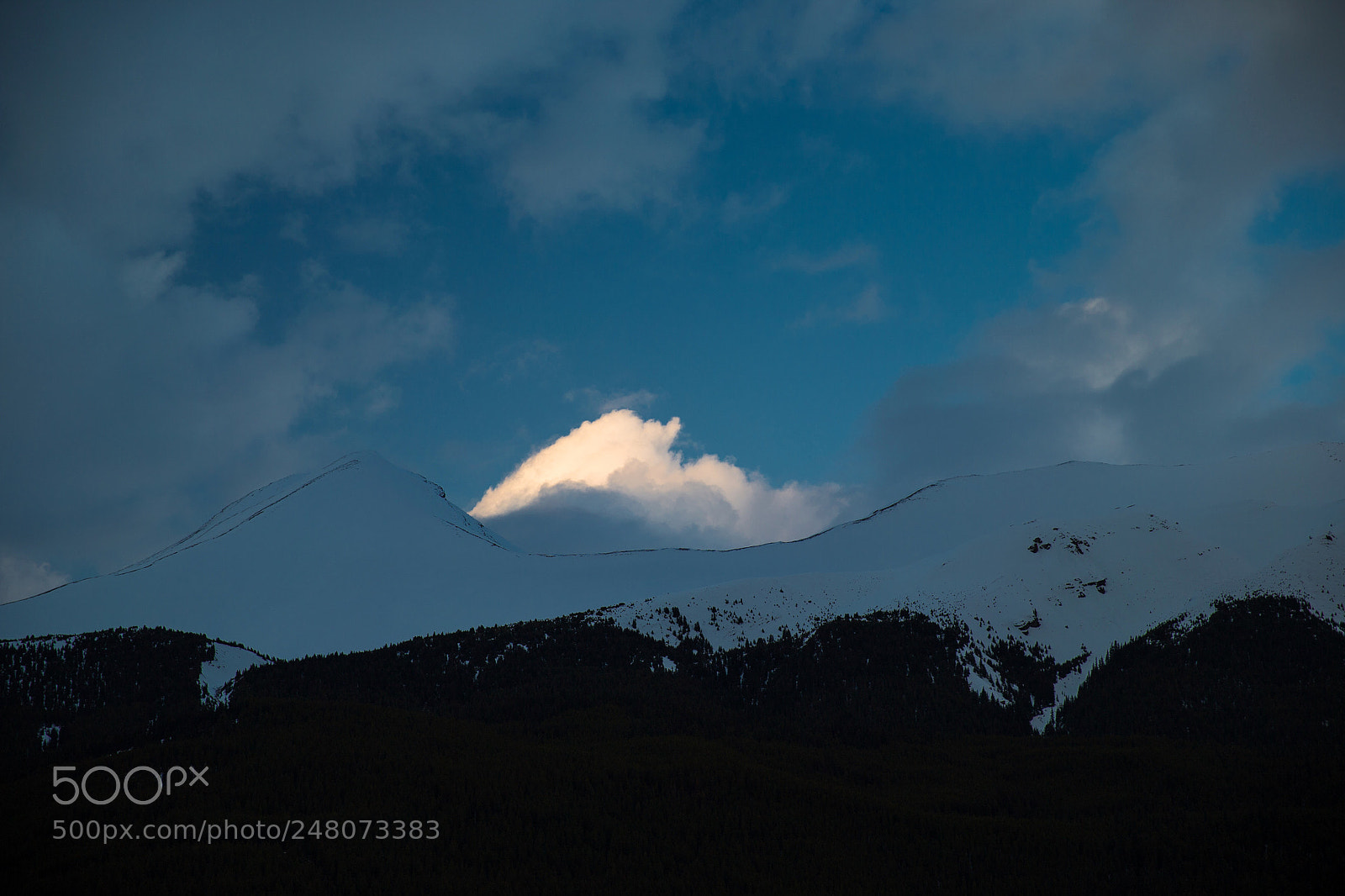 Canon EOS-1D X sample photo. 38786302400.jpg photography