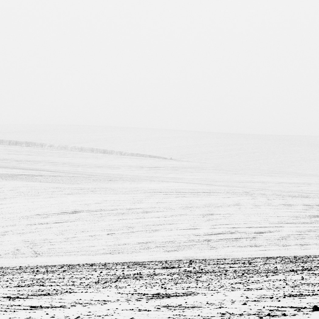 Nikon D7100 sample photo. Field textures photography