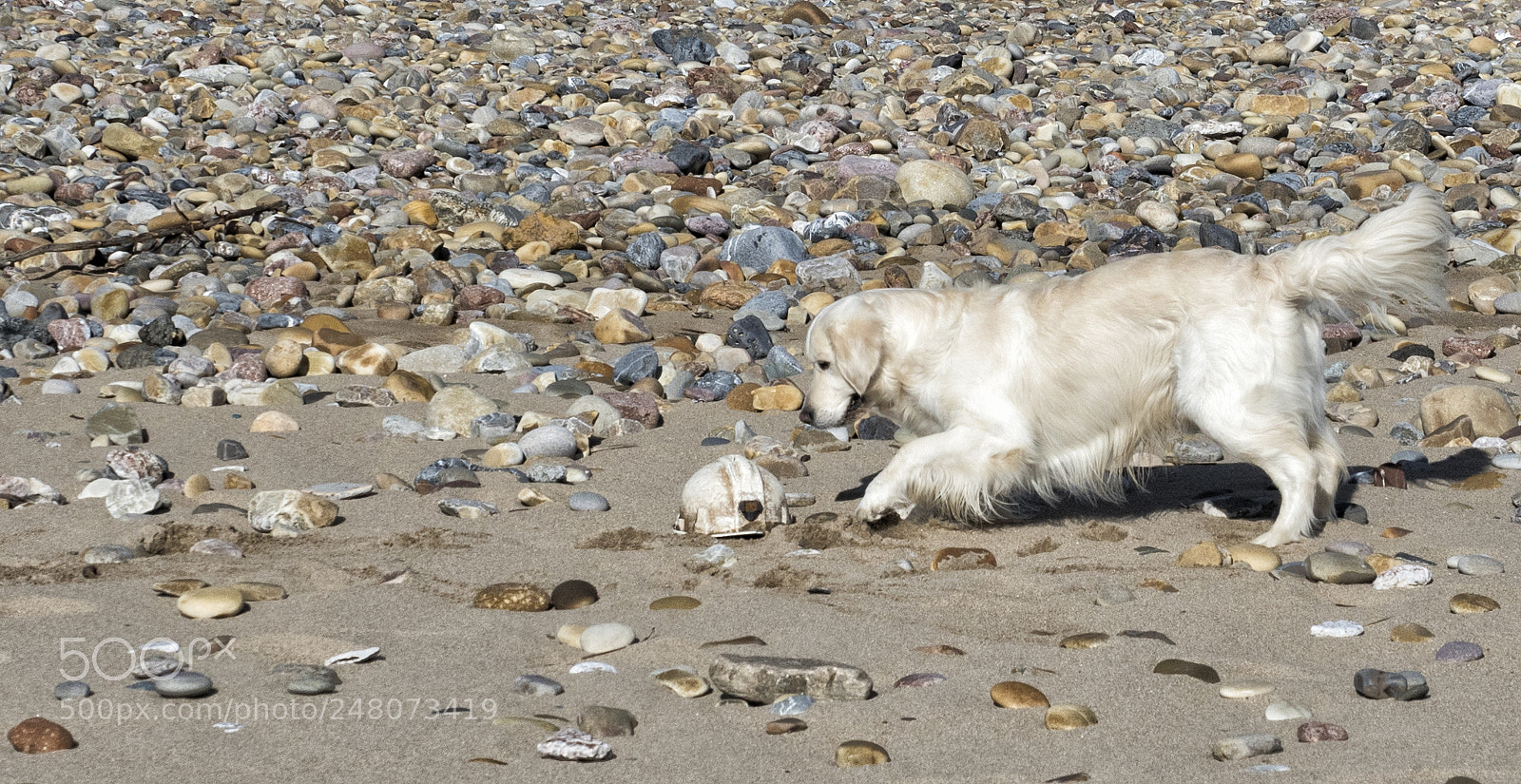 Olympus OM-D E-M5 II sample photo. Que es esto photography