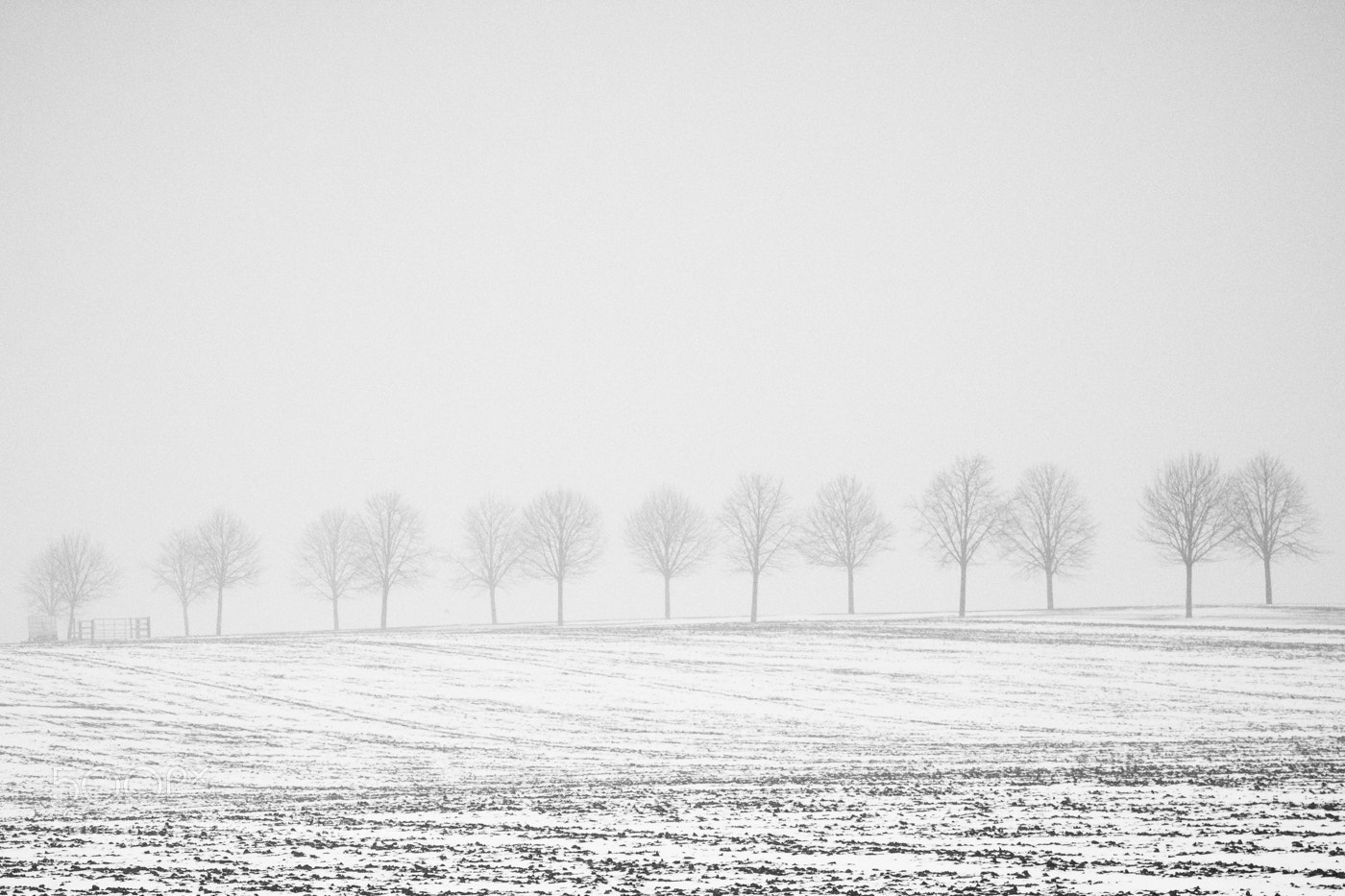 Nikon D7100 sample photo. Winter trees photography