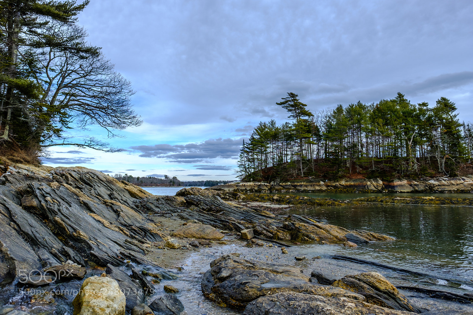 Fujifilm X-T2 sample photo. Early spring in maine photography