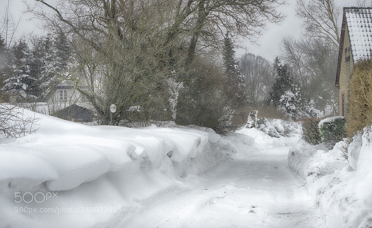 Nikon D800 sample photo. Snow photography