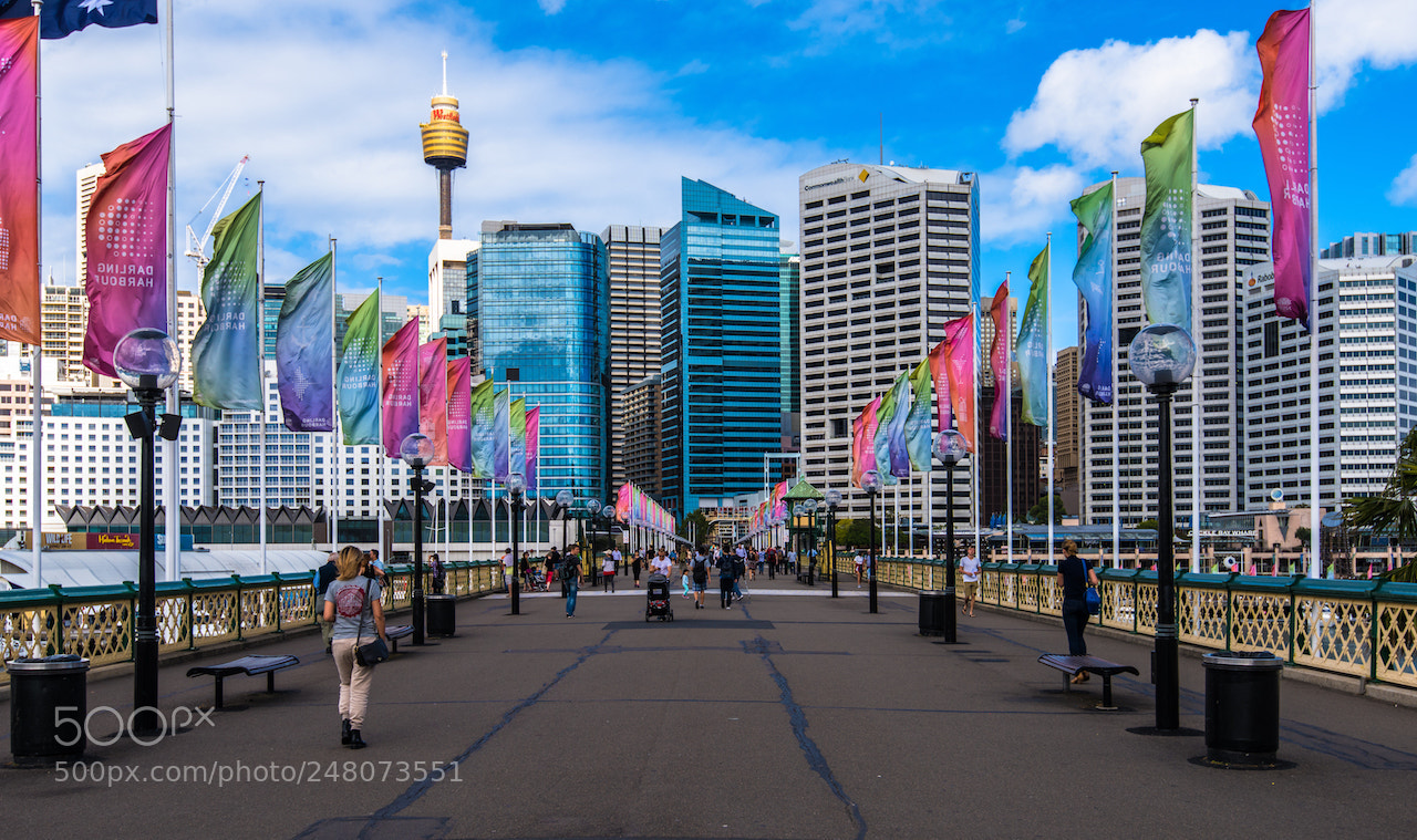 Nikon D810 sample photo. Darling harbour photography