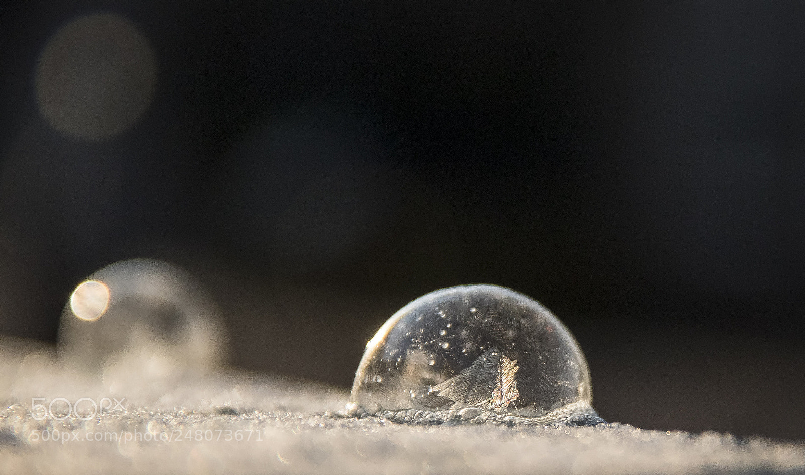 Canon EOS 77D (EOS 9000D / EOS 770D) sample photo. Frozen ice photography