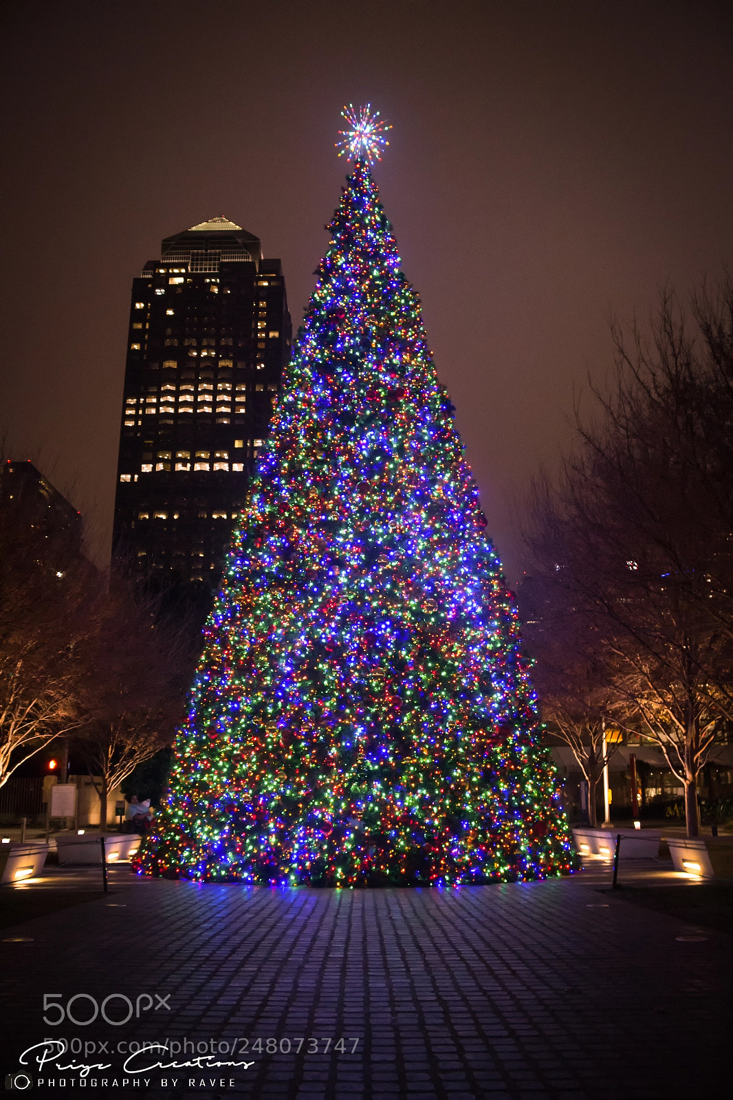 Canon EOS 700D (EOS Rebel T5i / EOS Kiss X7i) sample photo. Giant christmas tree photography