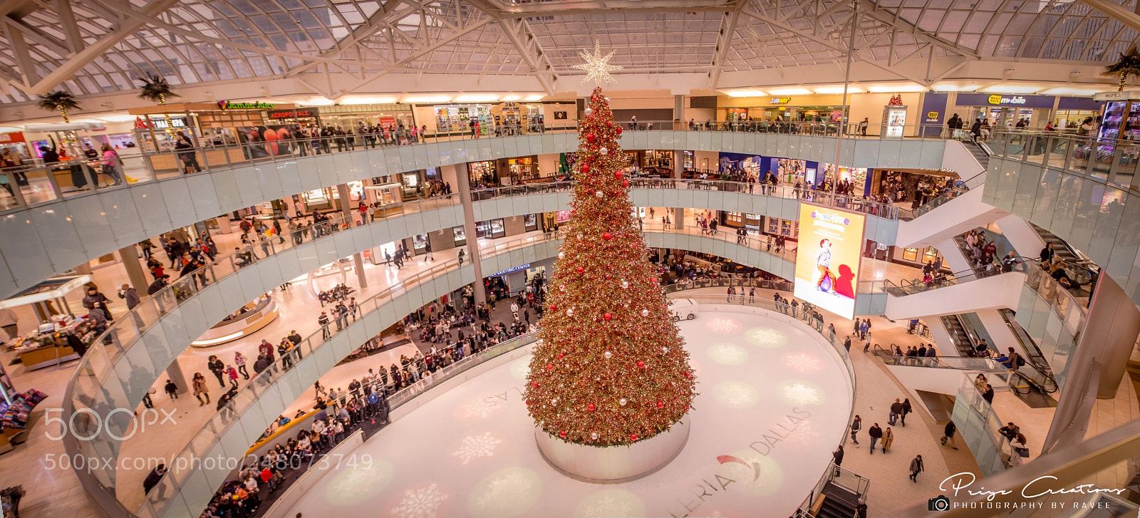 Canon EOS 700D (EOS Rebel T5i / EOS Kiss X7i) sample photo. Giant christmas tree 2 photography