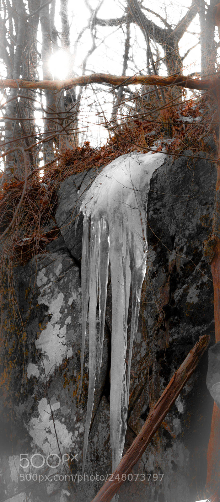 Nikon D5200 sample photo. Winter dreamland. photography