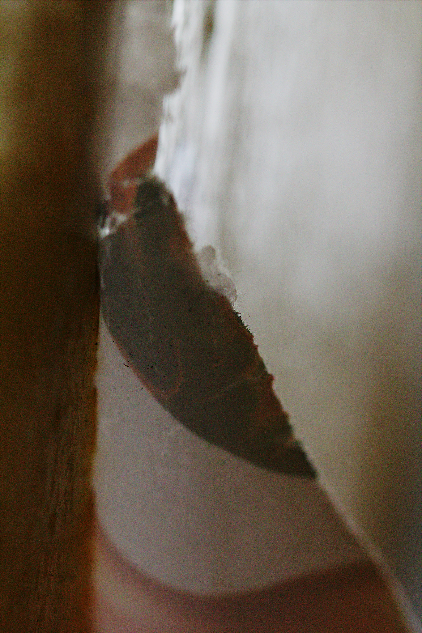 Canon EF 100mm F2.8L Macro IS USM sample photo. Almost at a wall iv photography