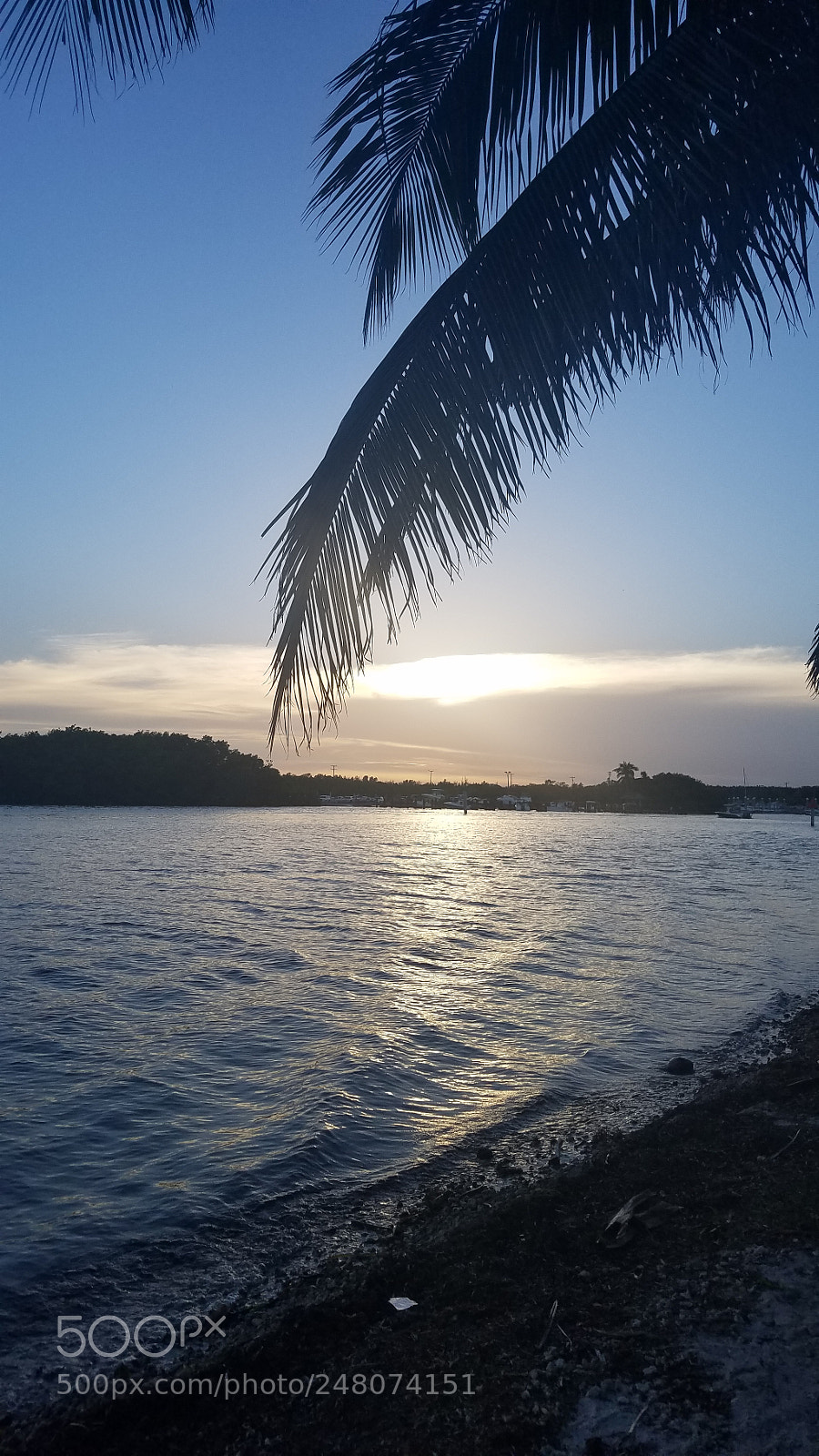 Samsung Galaxy S7 sample photo. Watch me photography