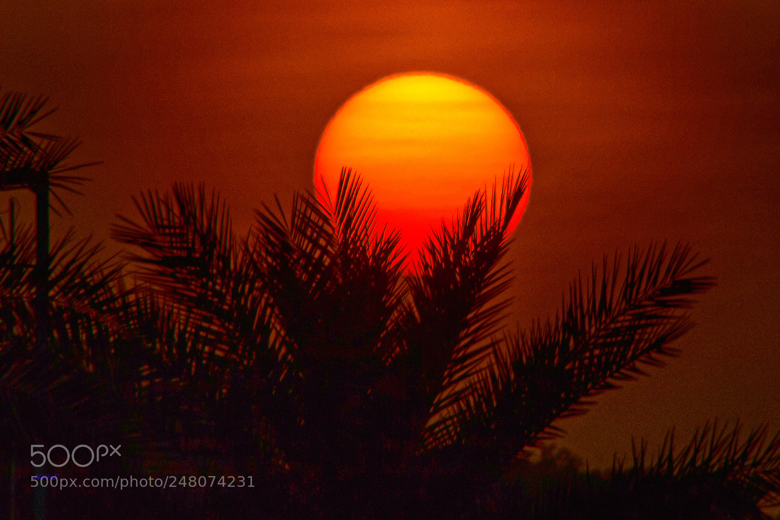 Canon EOS 750D (EOS Rebel T6i / EOS Kiss X8i) sample photo. Sunset photography