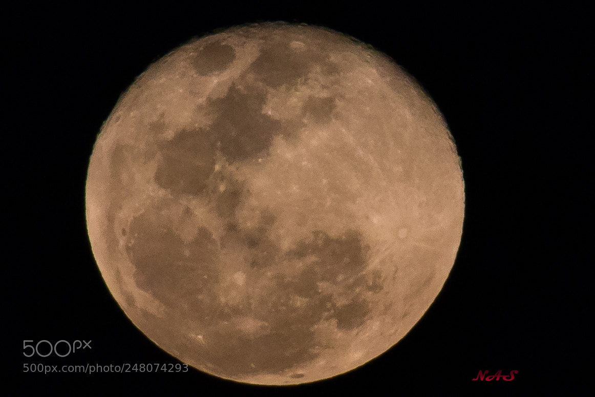 Canon EOS 750D (EOS Rebel T6i / EOS Kiss X8i) sample photo. Full moon photography