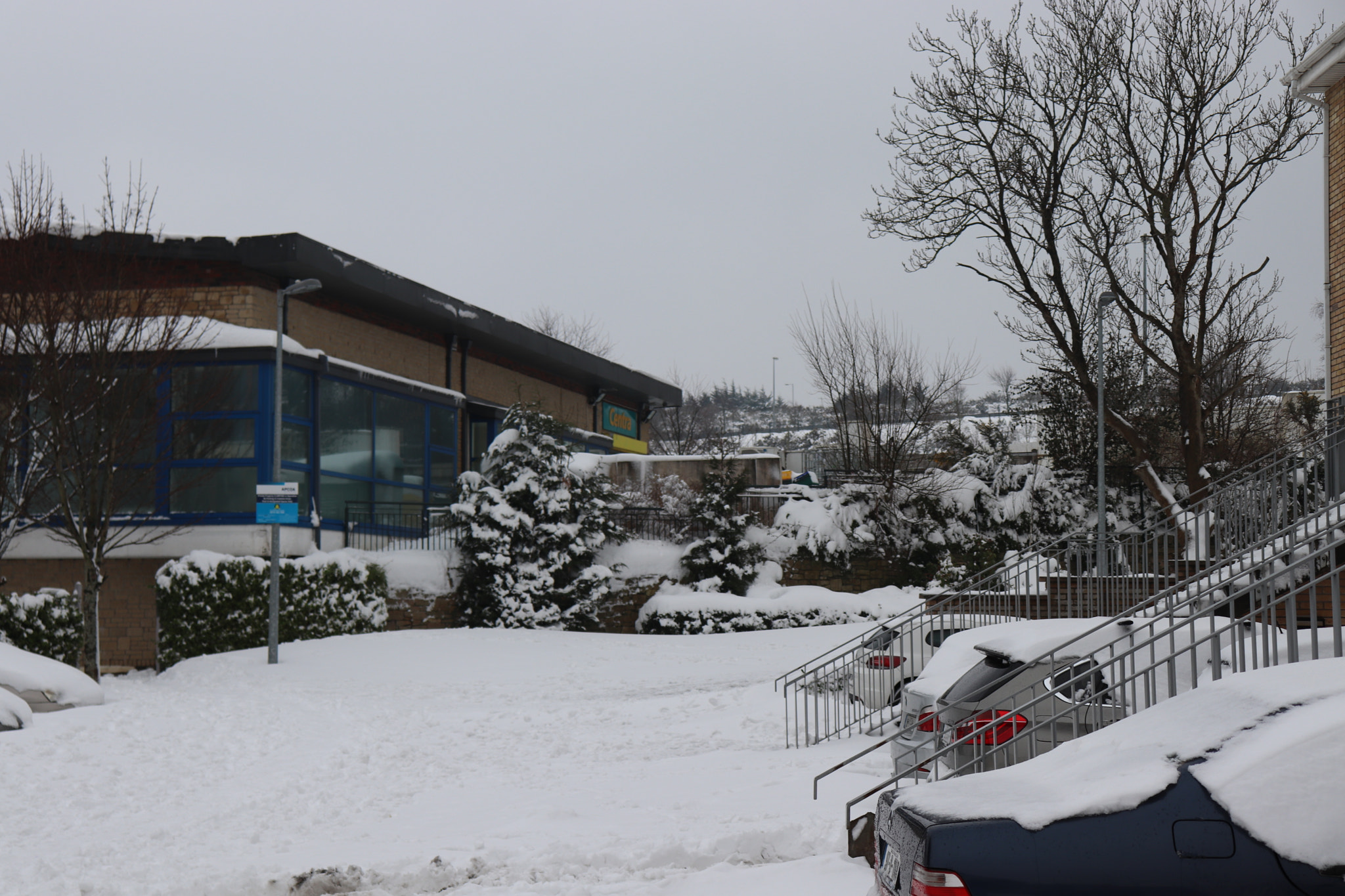 Canon EOS 77D (EOS 9000D / EOS 770D) sample photo. Snowing all the way photography