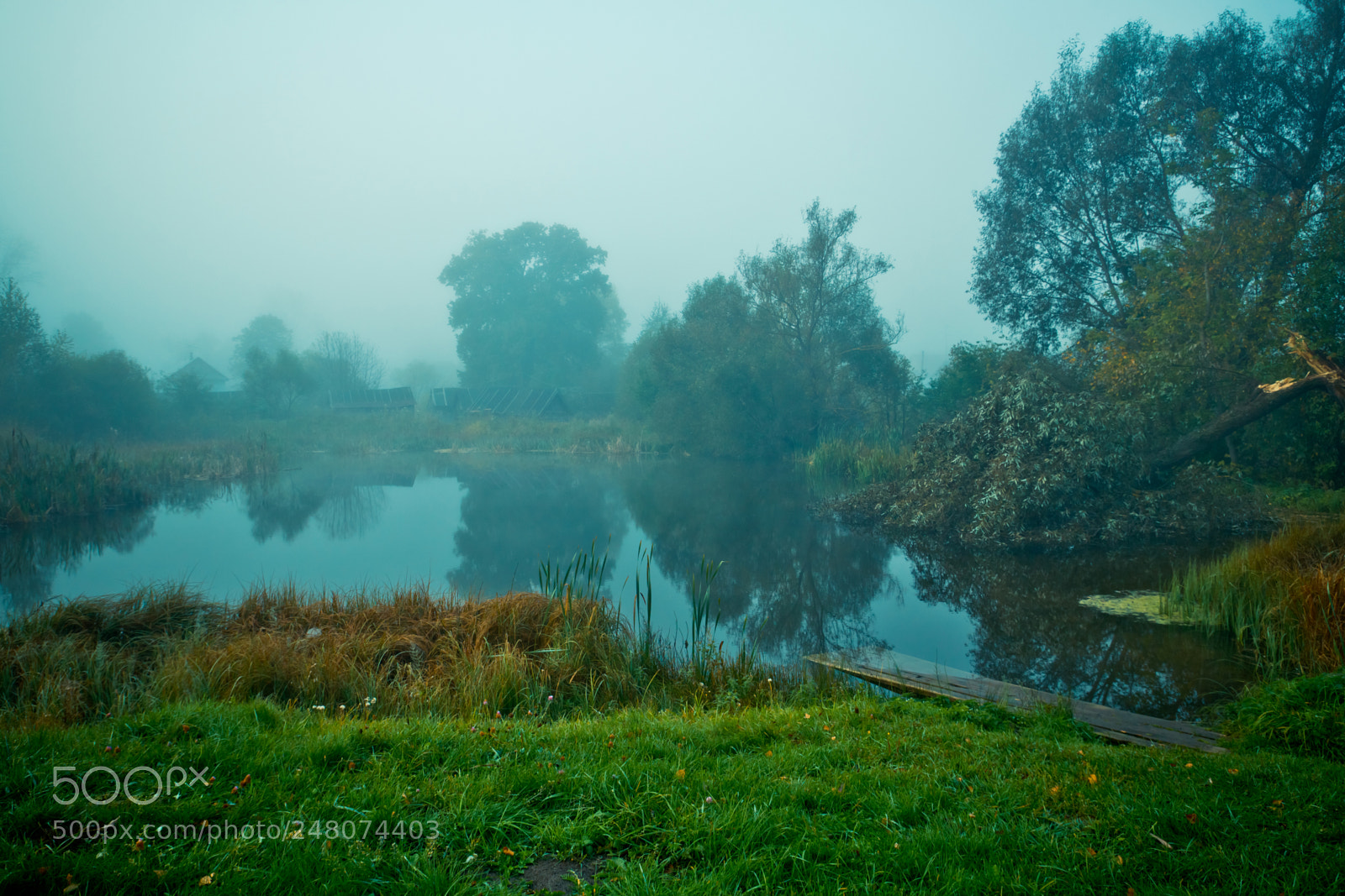 Canon EOS 600D (Rebel EOS T3i / EOS Kiss X5) sample photo. Autumn in the village photography