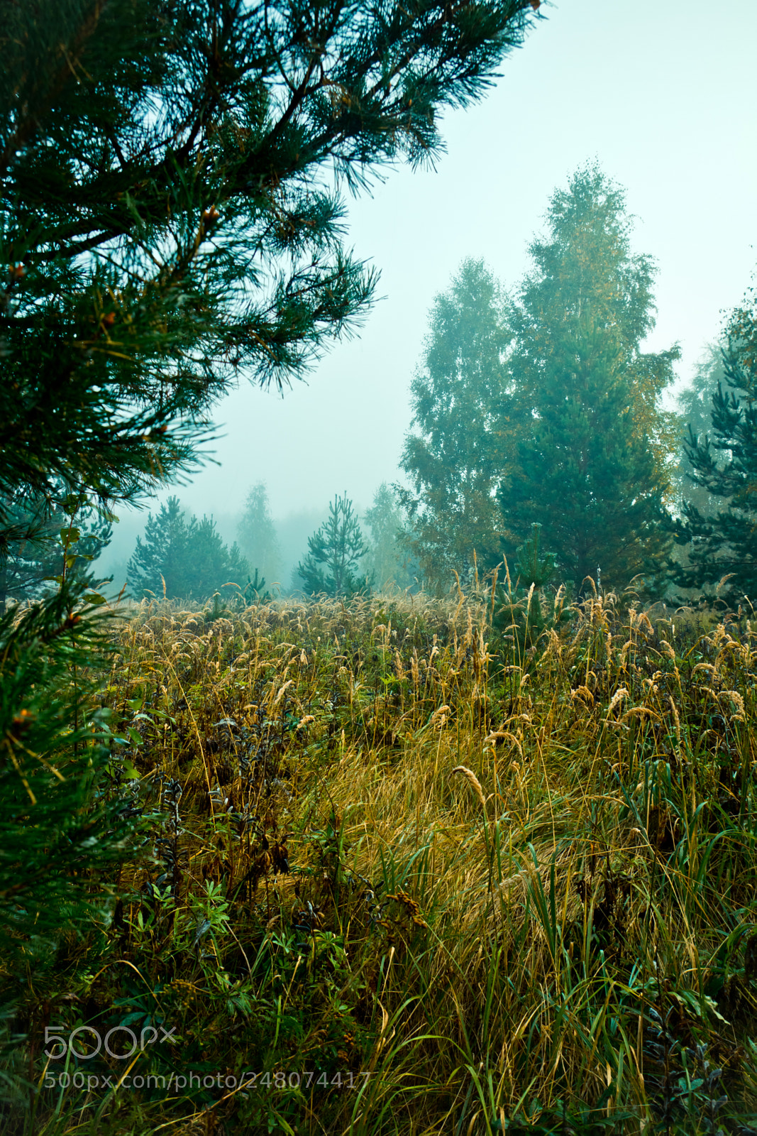 Canon EOS 600D (Rebel EOS T3i / EOS Kiss X5) sample photo. Autumn in the village photography