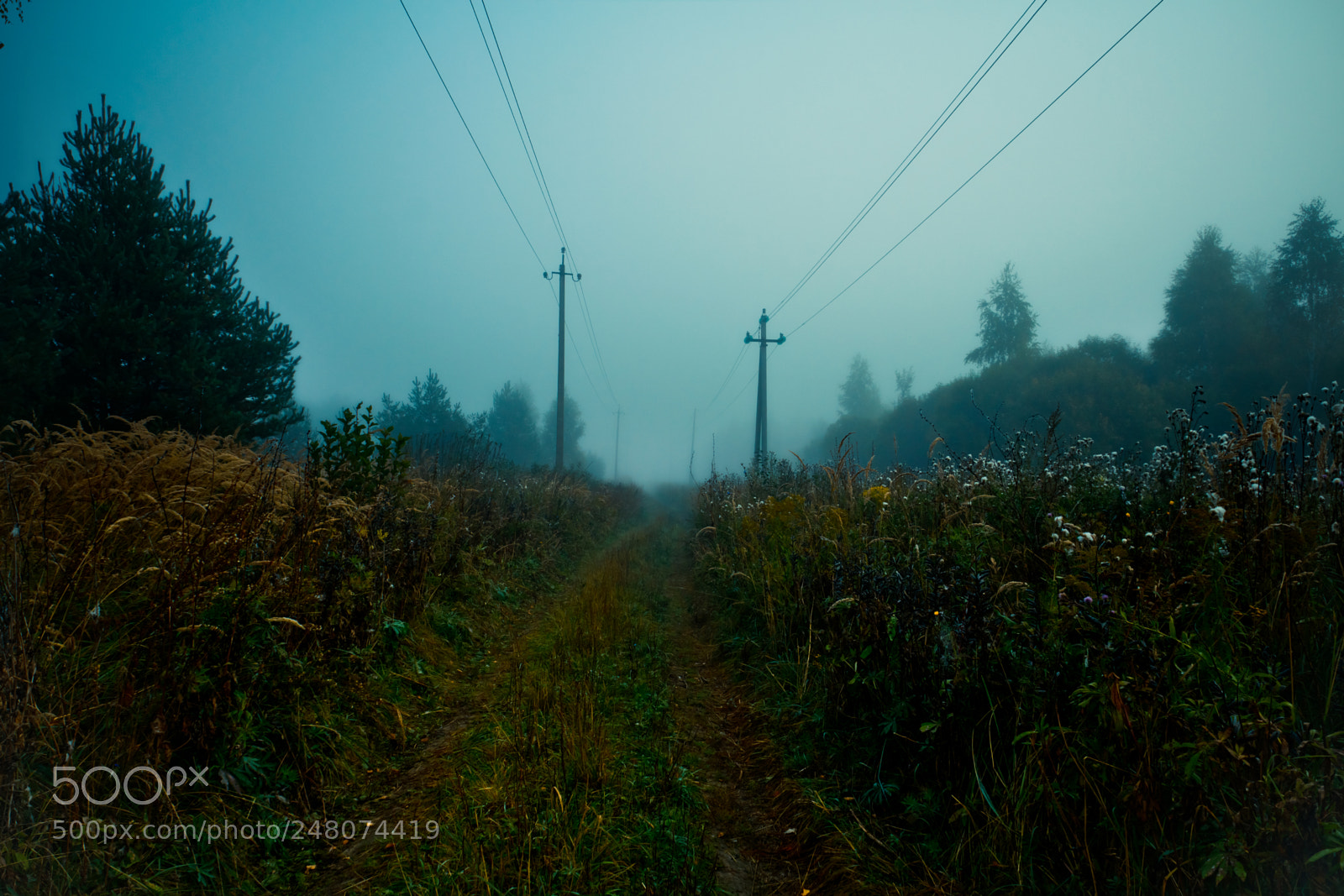 Canon EOS 600D (Rebel EOS T3i / EOS Kiss X5) sample photo. Autumn in the village photography