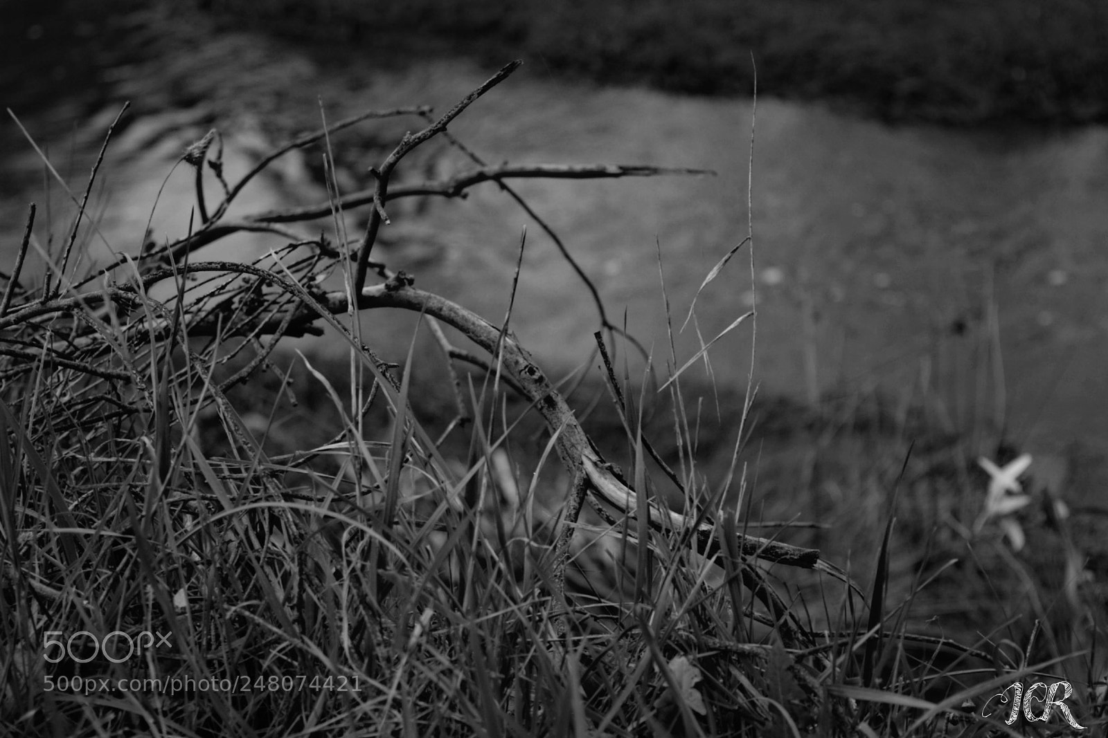 Nikon D5200 sample photo. Agua photography