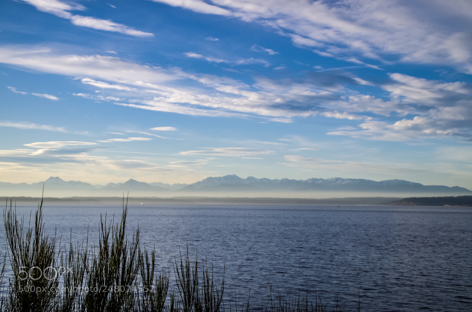 Pentax K-30 sample photo. Untitled photography