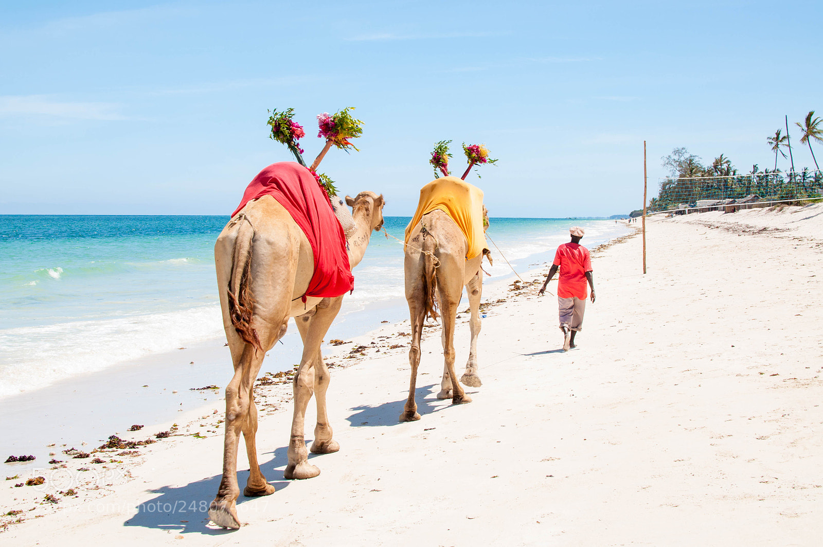 Nikon D90 sample photo. Diani beach, kenya photography