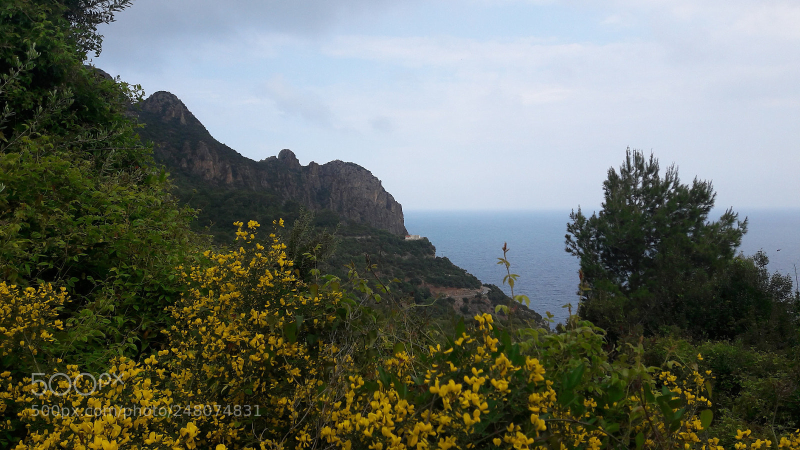 Samsung Galaxy A5(2016) sample photo. Bejaia nature photography