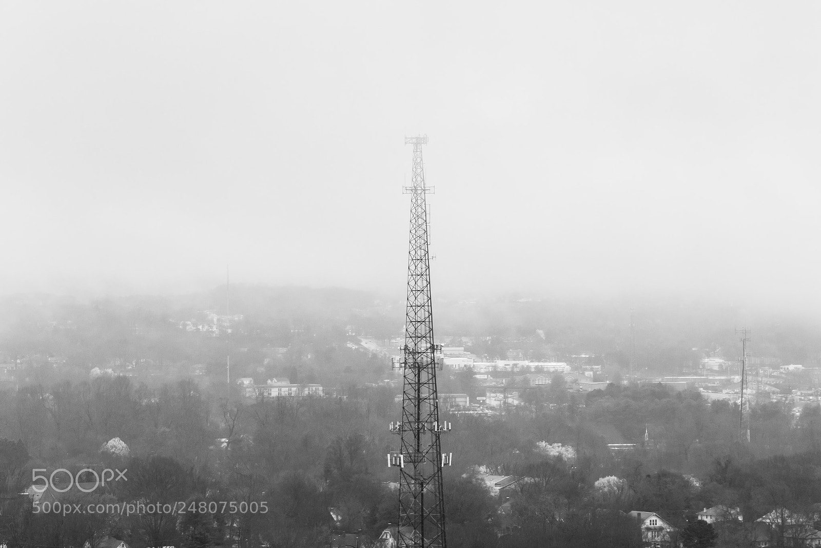 Canon EOS 7D Mark II sample photo. Foggy reception photography