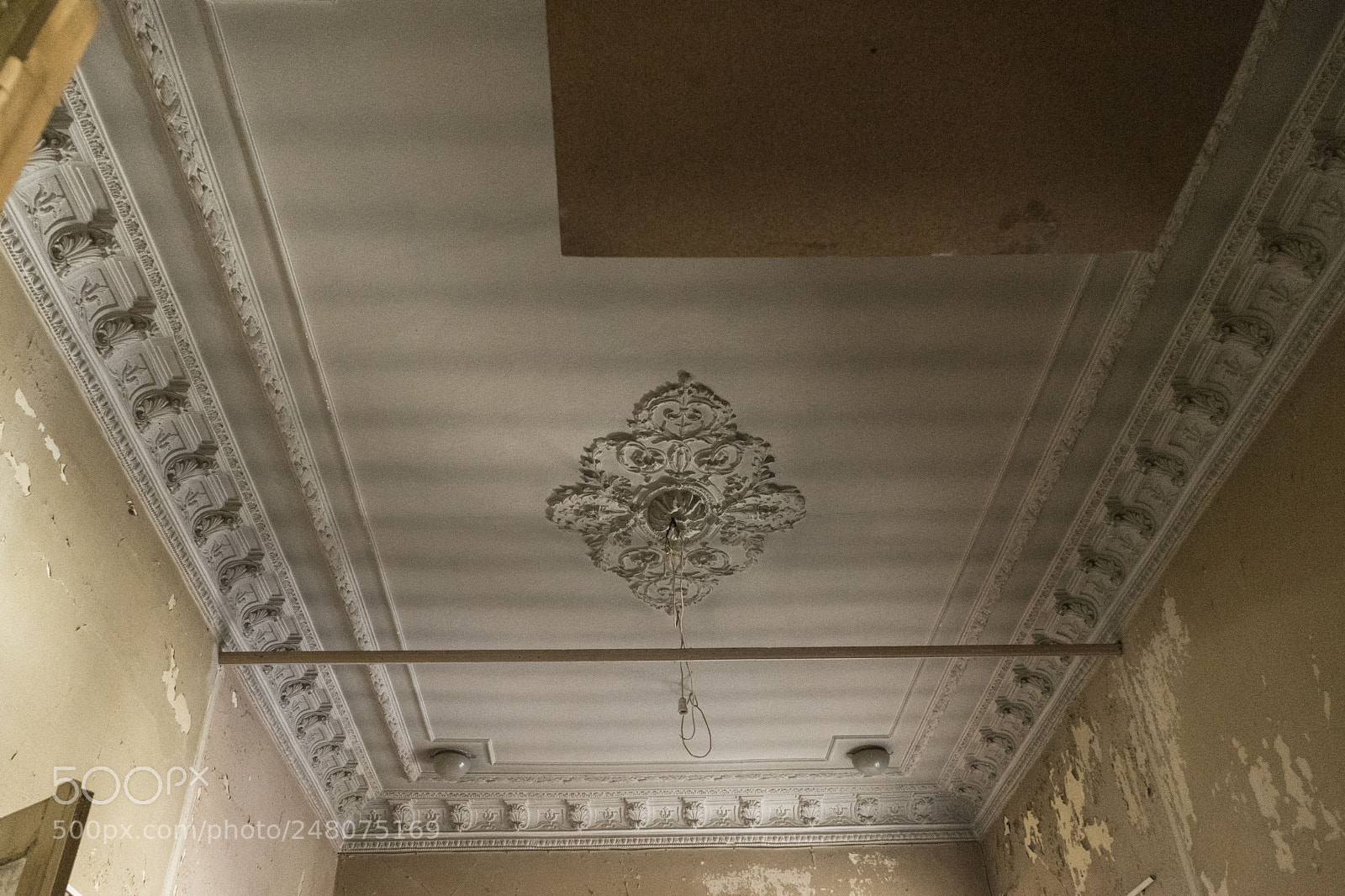 Sony a7 II sample photo. The ceiling photography
