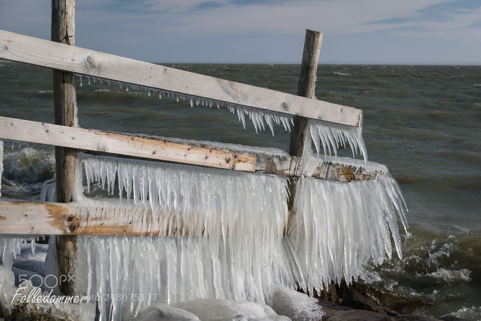 Nikon D5300 sample photo. Nature's art on a photography