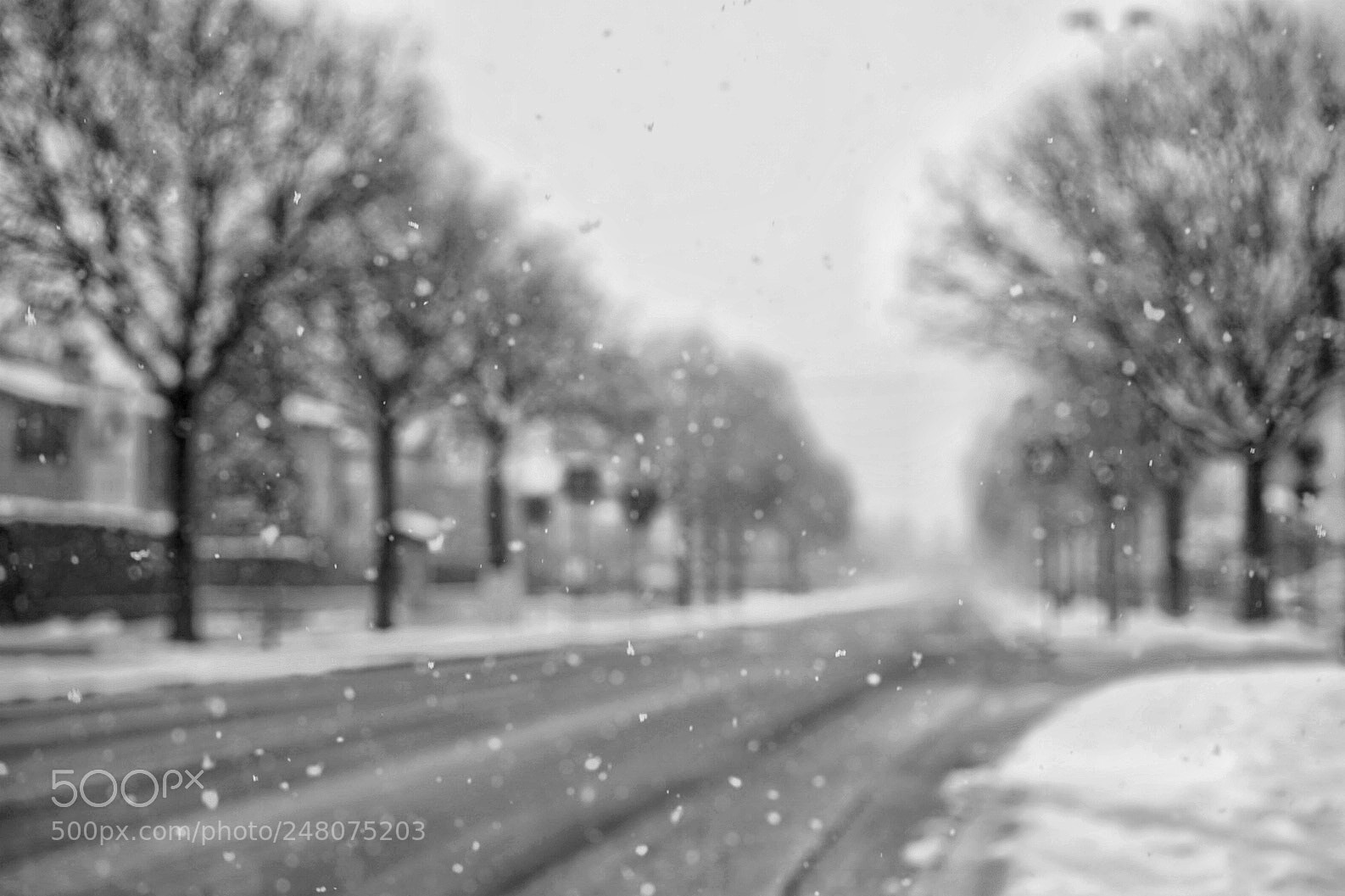 Sony a7R II sample photo. Cold photography