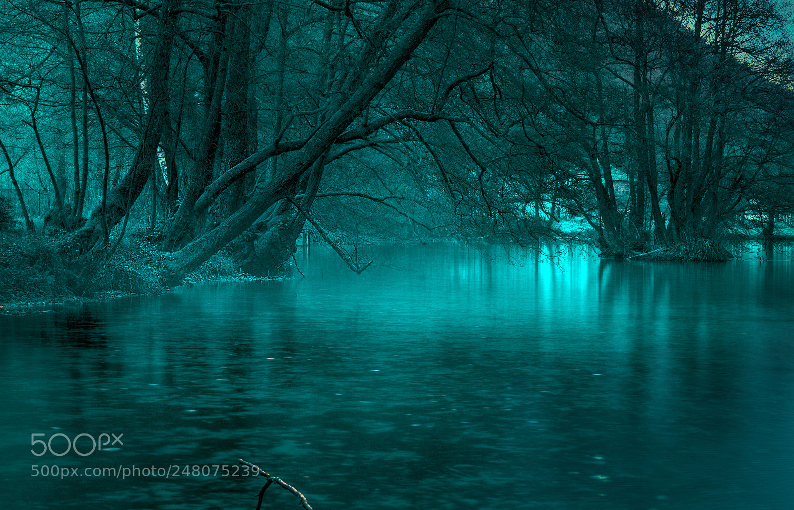Nikon D610 sample photo. River photography