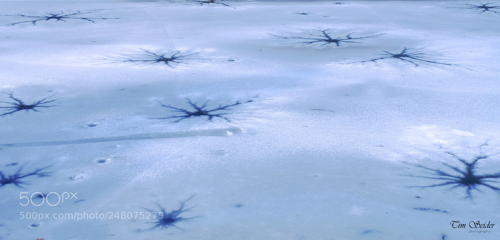Fujifilm X-T20 sample photo. Frozen photography