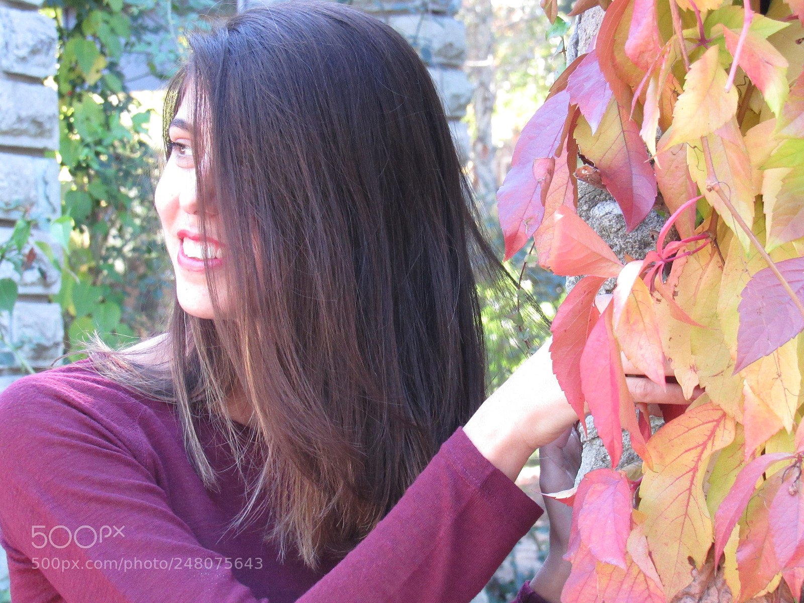 Canon PowerShot SX530 HS sample photo. Img photography
