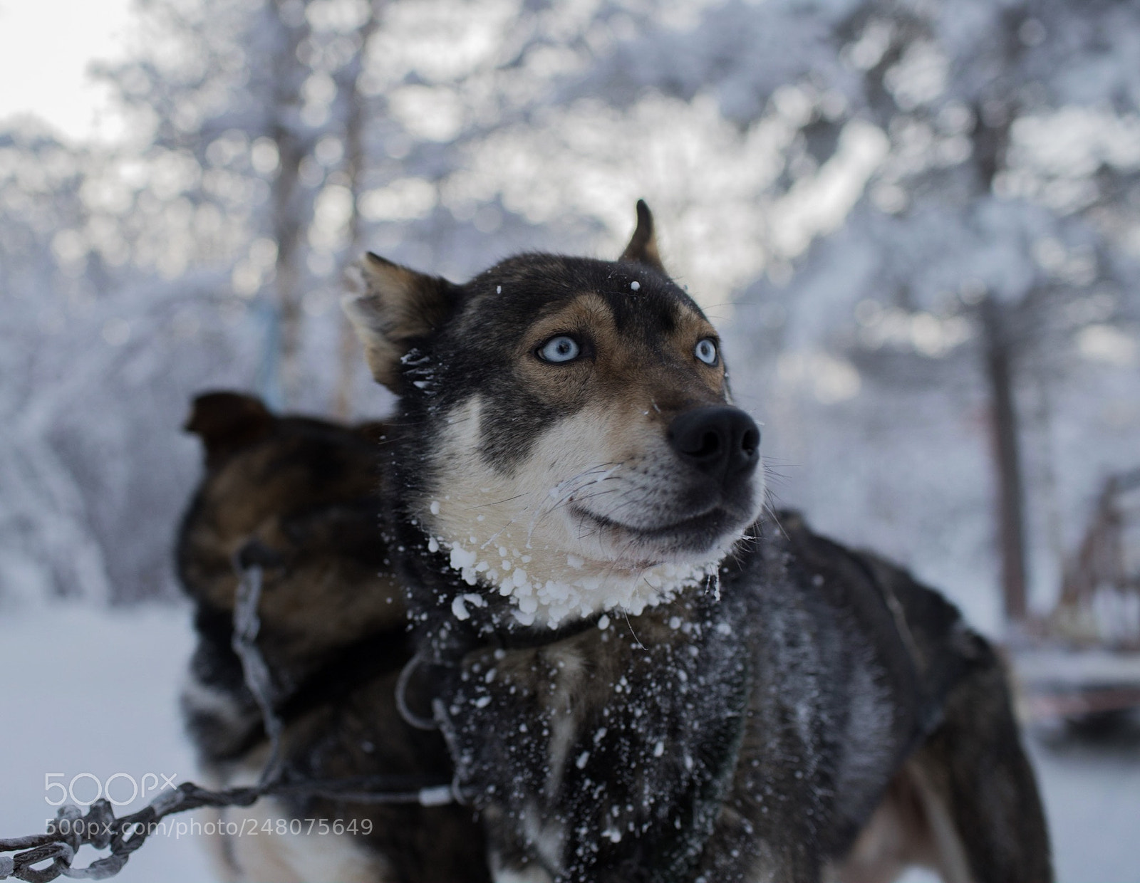 Canon EOS 6D Mark II sample photo. A beautiful morning with photography